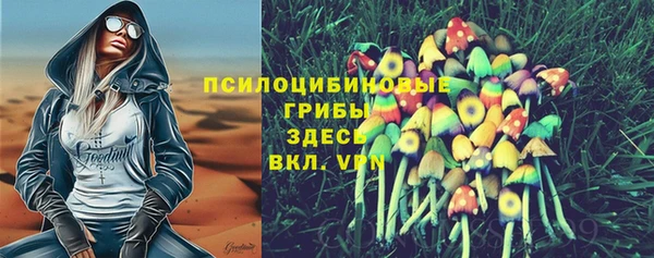 MDMA Богданович