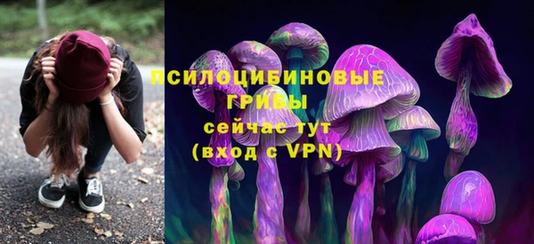 MDMA Богданович